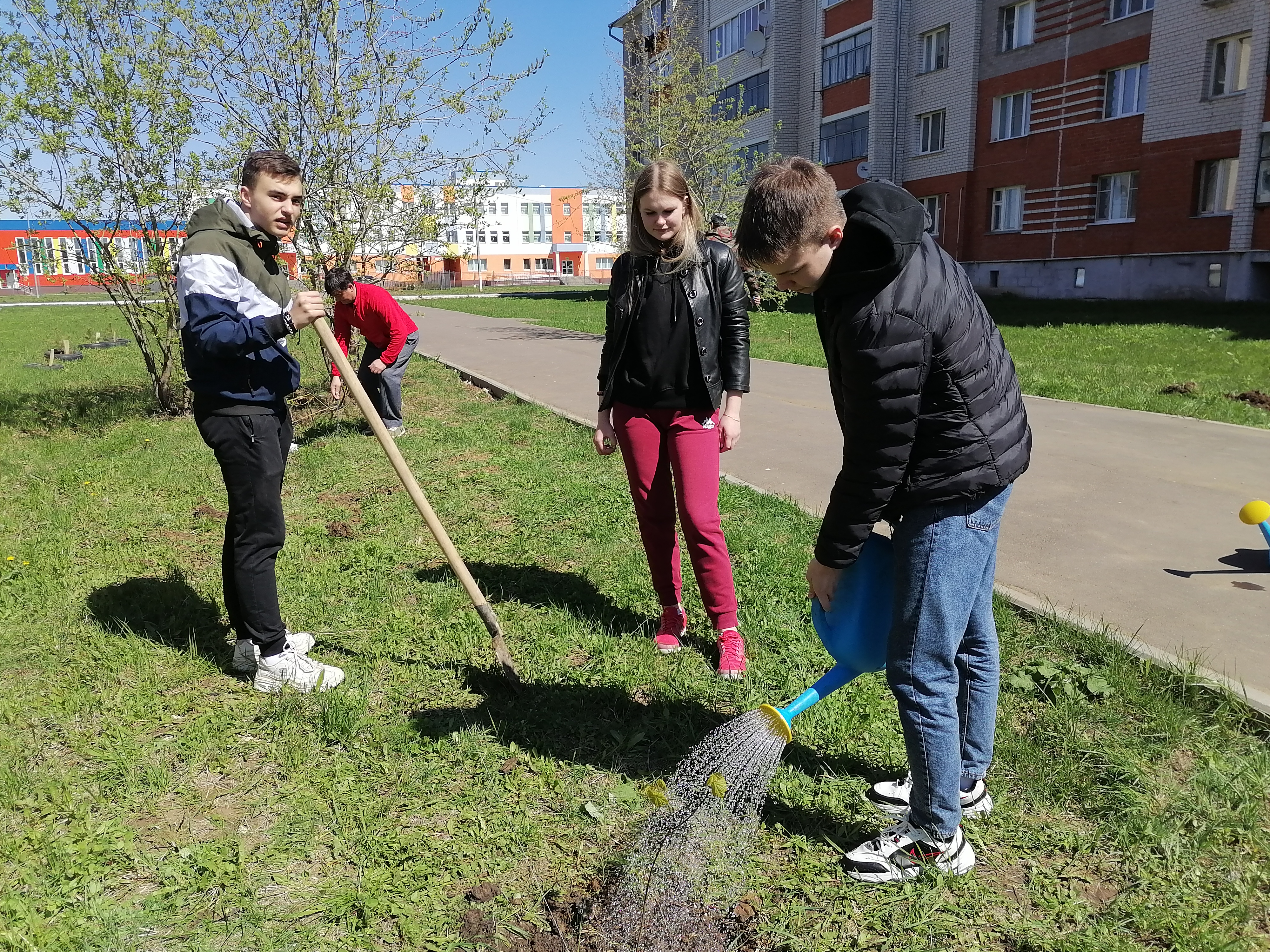 Посадили вместе. Они сажают деревья. 82 Школа аллея памяти. Аллея памяти школа 242. Аллея памяти в детском саду.